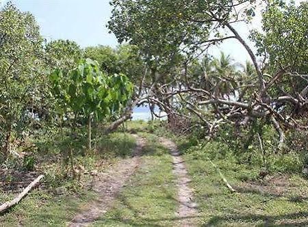 Alofa Beach Bungalows Lénakel Kültér fotó