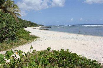 Alofa Beach Bungalows Lénakel Kültér fotó