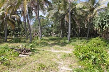 Alofa Beach Bungalows Lénakel Kültér fotó