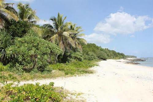 Alofa Beach Bungalows Lénakel Kültér fotó