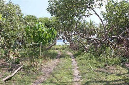 Alofa Beach Bungalows Lénakel Kültér fotó